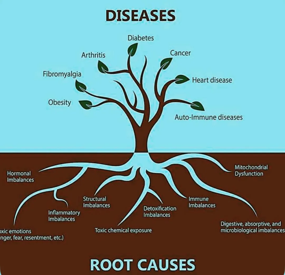 Diseases Root Causes