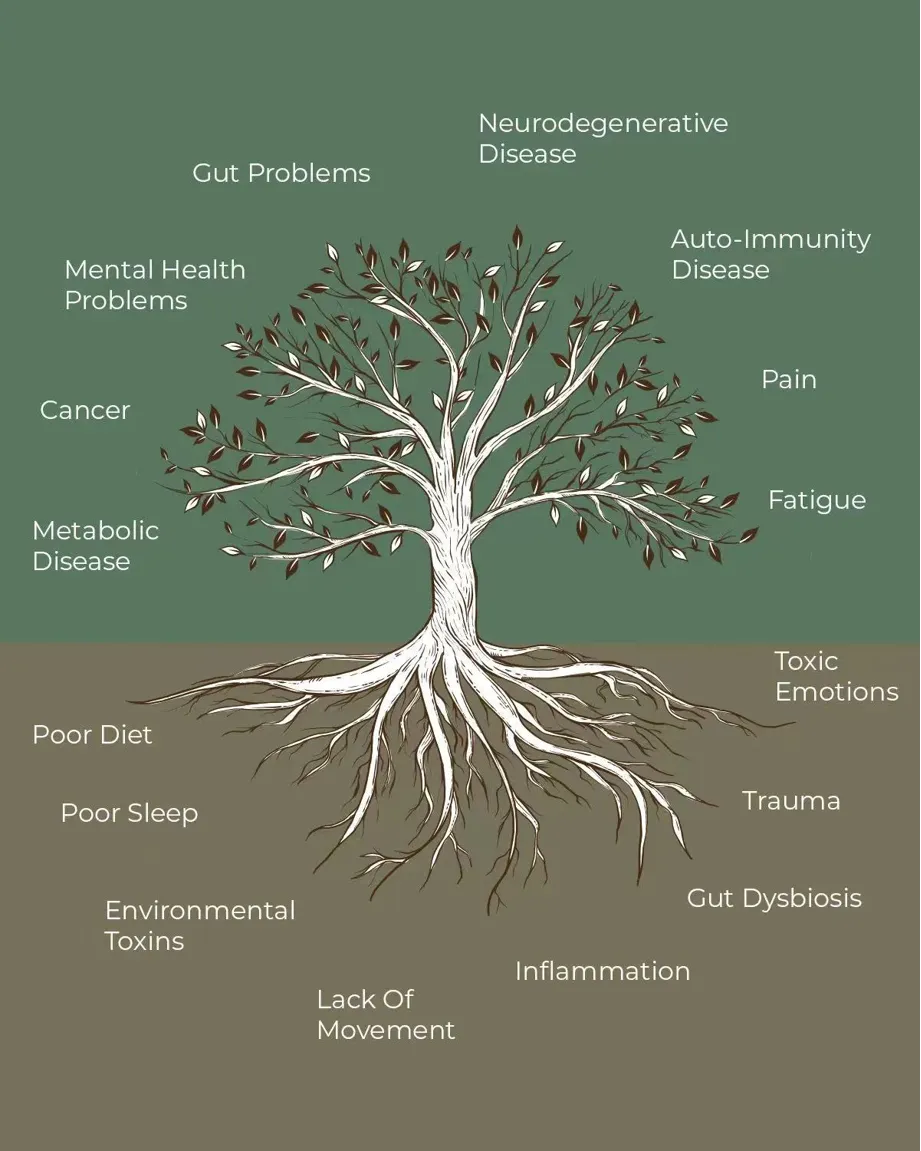 Root Causes