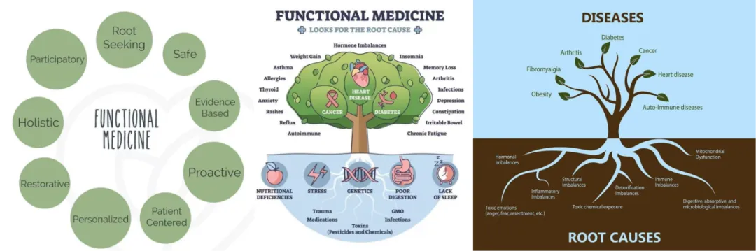 Functional Medicine Root Cause Tree