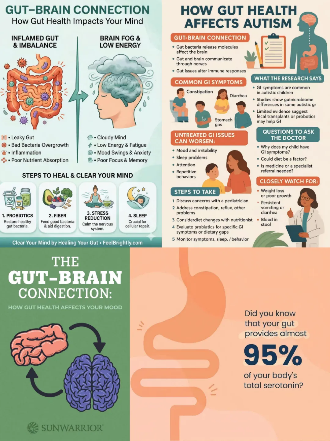 Gut Brain Connection Mental Health